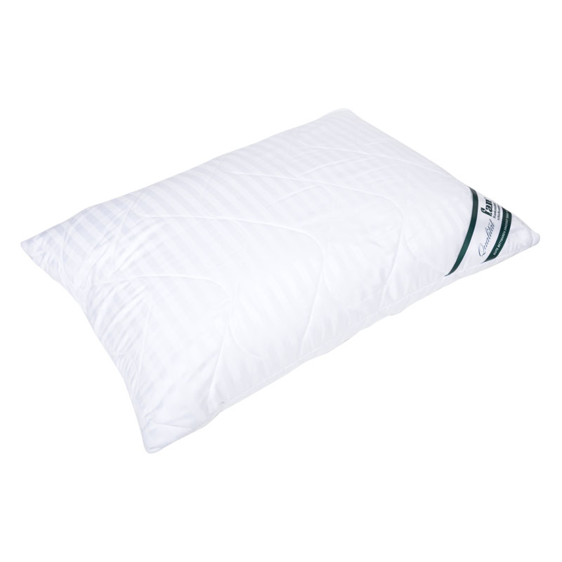 Подушка 50 70. Подушка Goldtex Aloe Vera 50 х 70 см. Подушка IQ Sleep Comfort c2, l 43 х 64 см. Bugatti Pillow / подушка 70x70 см. Подушка для сна odeja, Antidust Lux, 70x70 см.